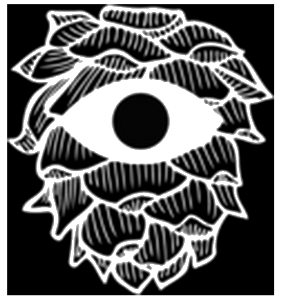 Pseyeche